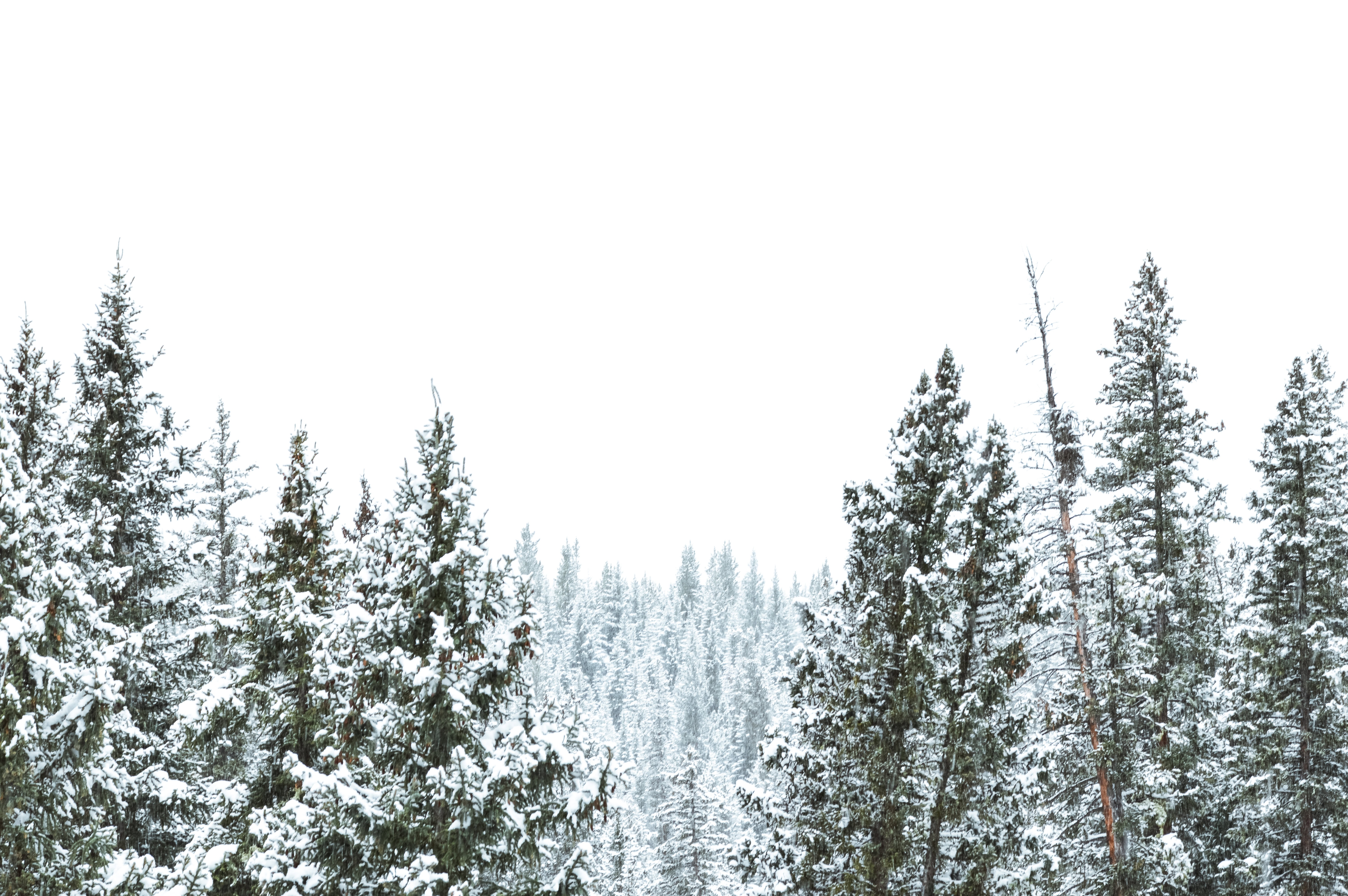 The adventure guide to Big Sky Montana in the winter. | herlifeadventures.blog | #traveldestinations #travelideas #northamericatravel #traveltips #usdestinations #travelhacks #travelguide #adventuretravel #roadtrip #bigsky #montana #adventureguide #winteractivities #wintertravel