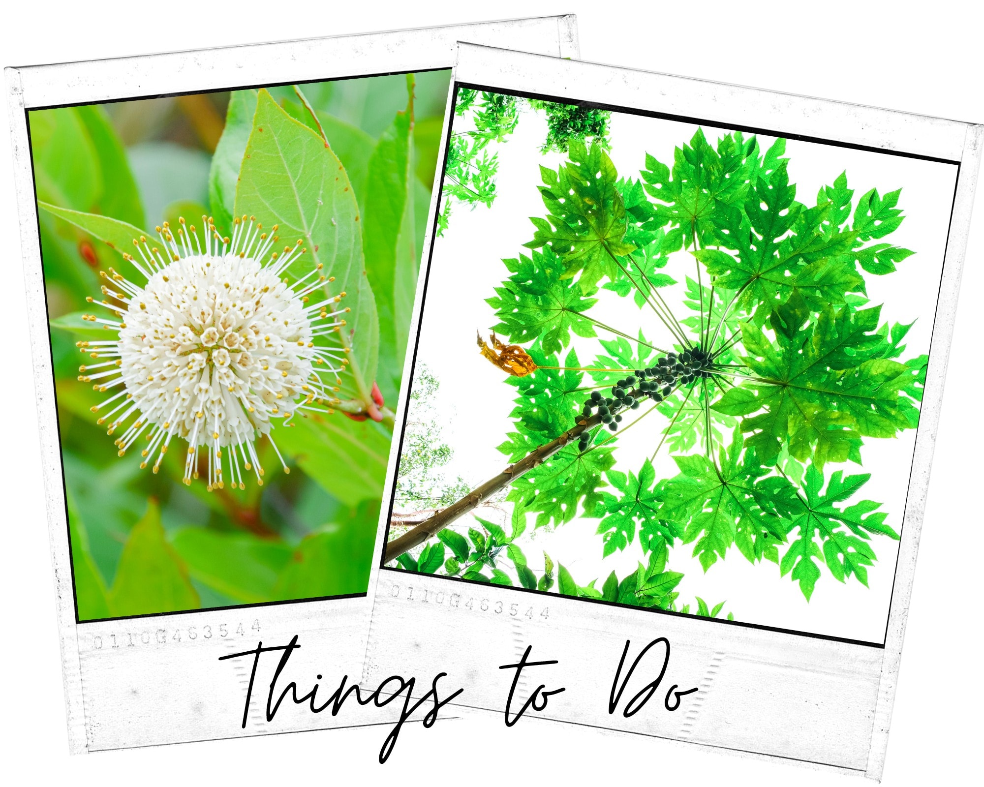 This Adventure Guide to Everglades National Park will explore the diverse eco systems while hiking through the various landscapes of the park. #everglades #nationalpark #adventure #guide #itinerary #thingstodo #hike