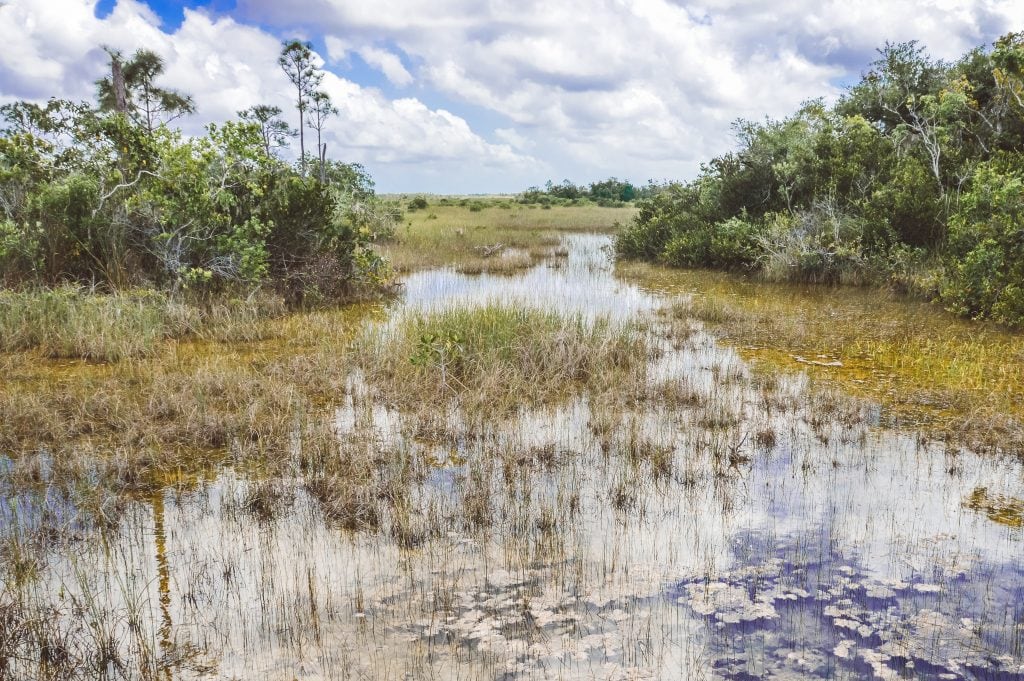 Everglades National Park wetlands