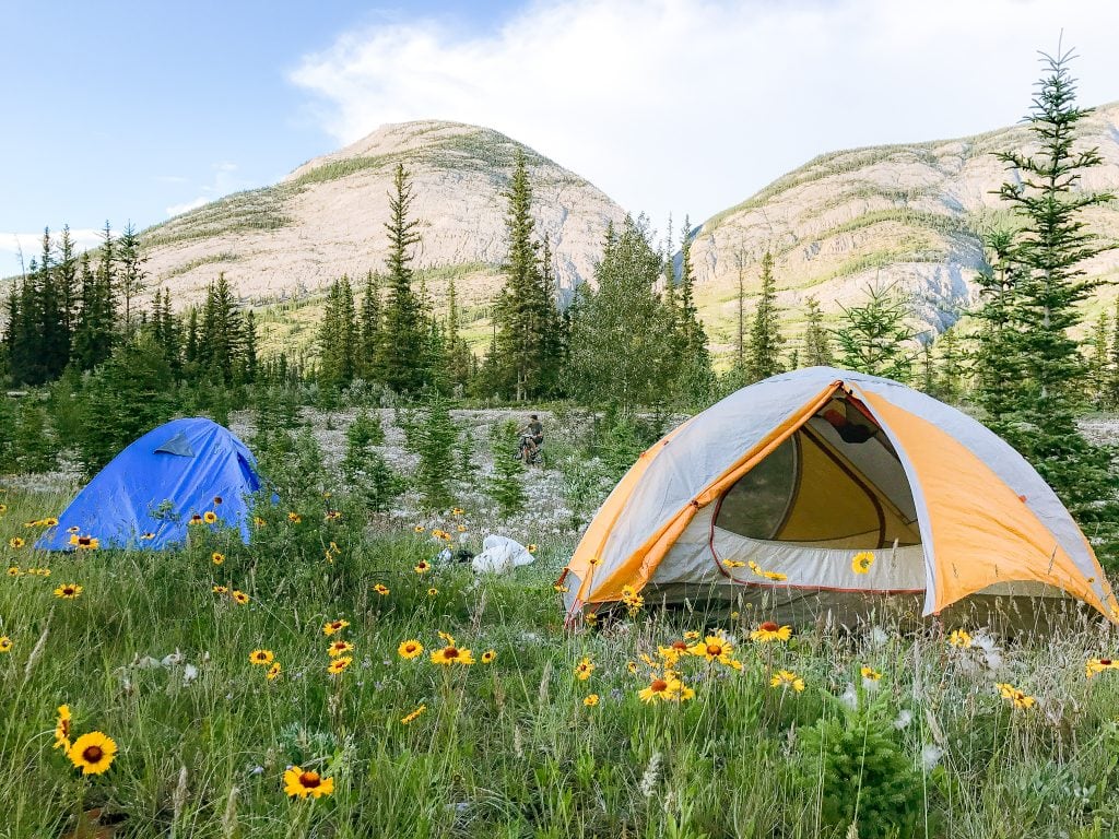 JASPER NATIONAL PARK CAMPING TENT IN FLOWER FIELD