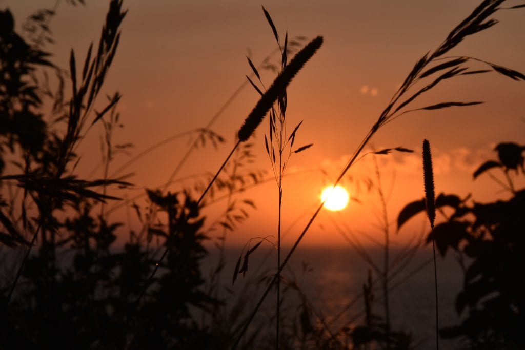 Lake Michigan Sunset in Sleeping Bear Dunes | herlifeadventures.blog | #camping #usdestinations #sleepingbeardunes #nationallakeshore #travelhacks #travelguide #adventuretravel #roadtrip #nationalpark #nationalparkroadtrip #michigantravel #greatlakes #ustravel #summer #bucketlist