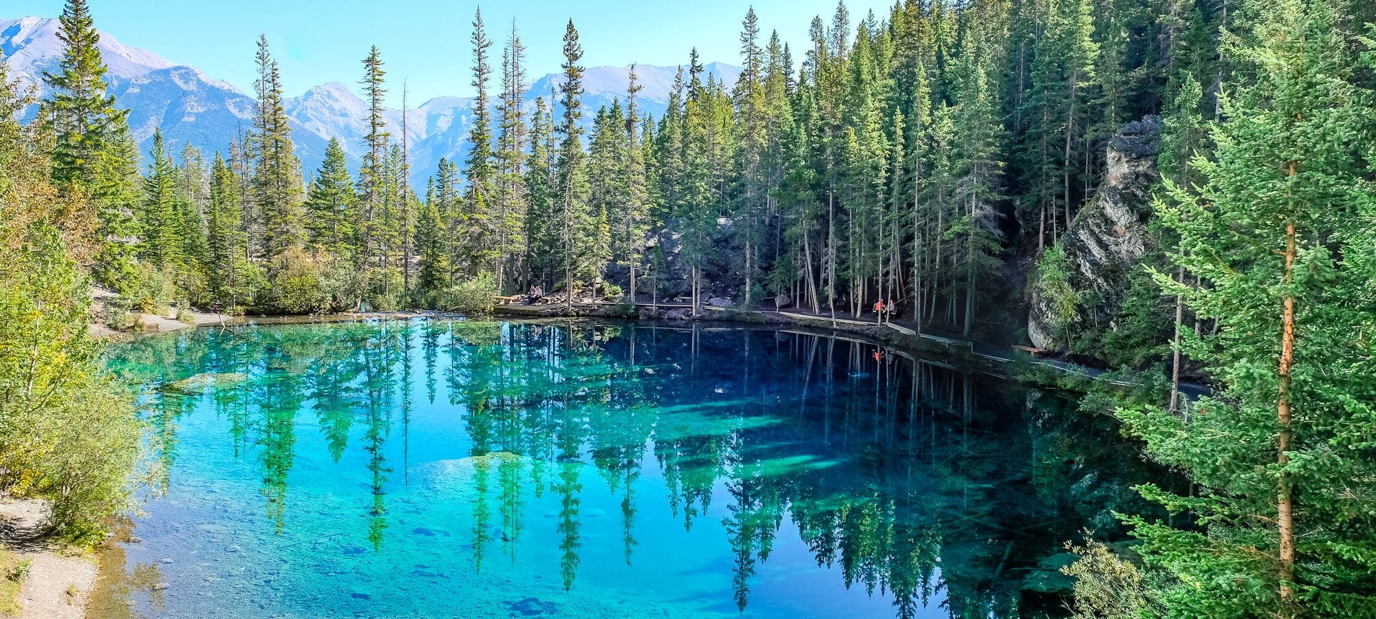 Keep our waterways clean with Dropps. All their products, including laundry detergent, fabric softener, scent booster, oxi booster, odor defense spray, and dishwasher detergents are all vegan and do not contain animal byproduct ingredients. | herlifeadventures.blog | #dropps #laundry #cleaning #vegan #green #ecofriendly #sustainable #lavender #eucalyptus #dish #soap