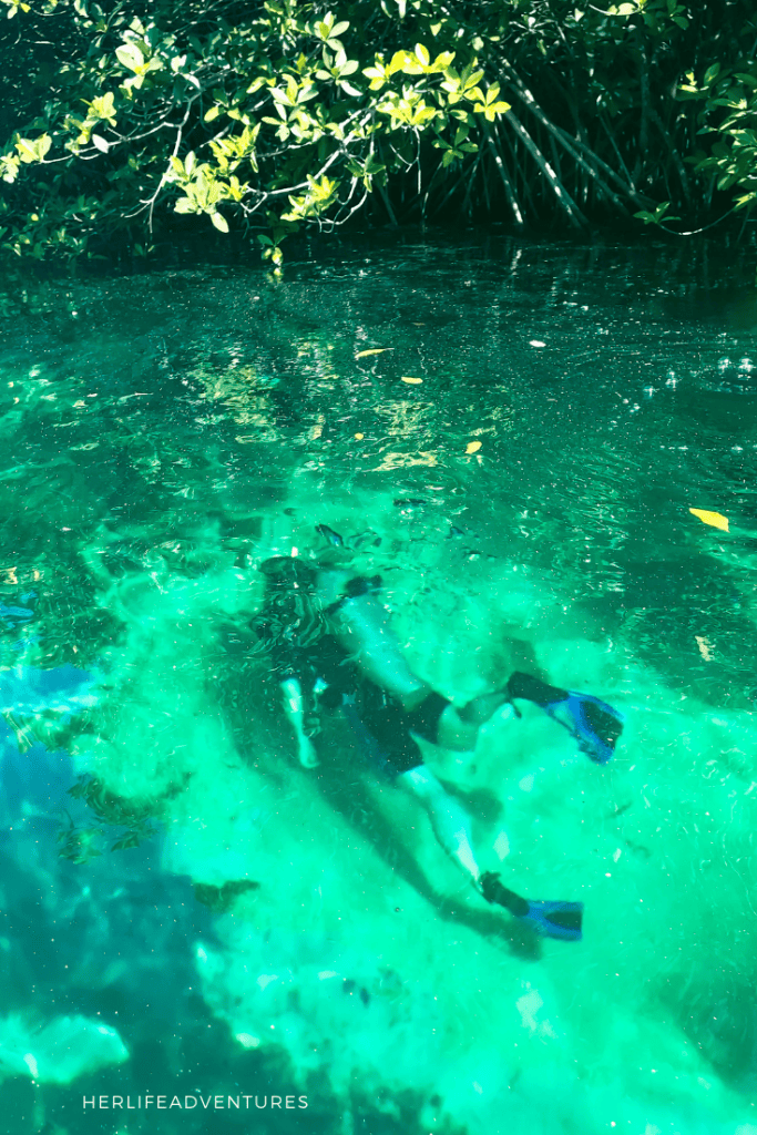 The best cenotes in Mexico | Tulum Travel Guide
