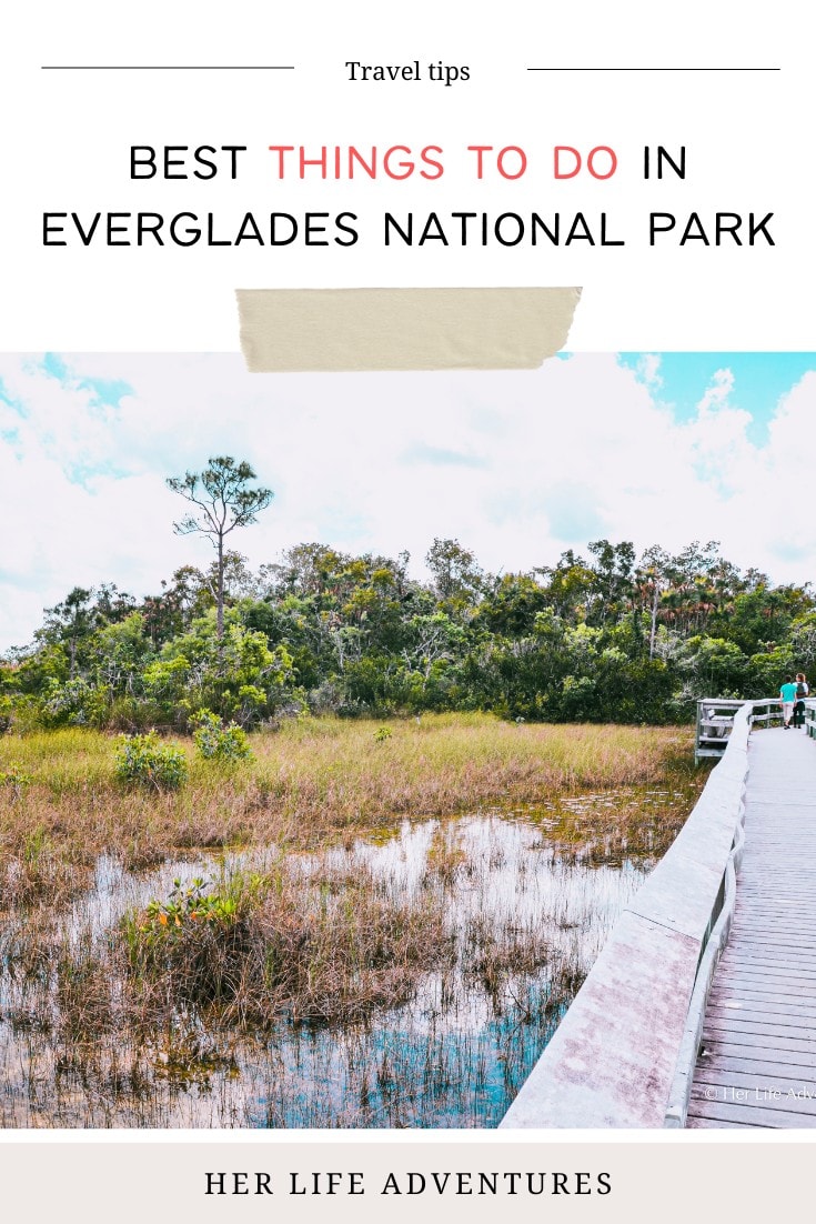 Everglades National Park Guide