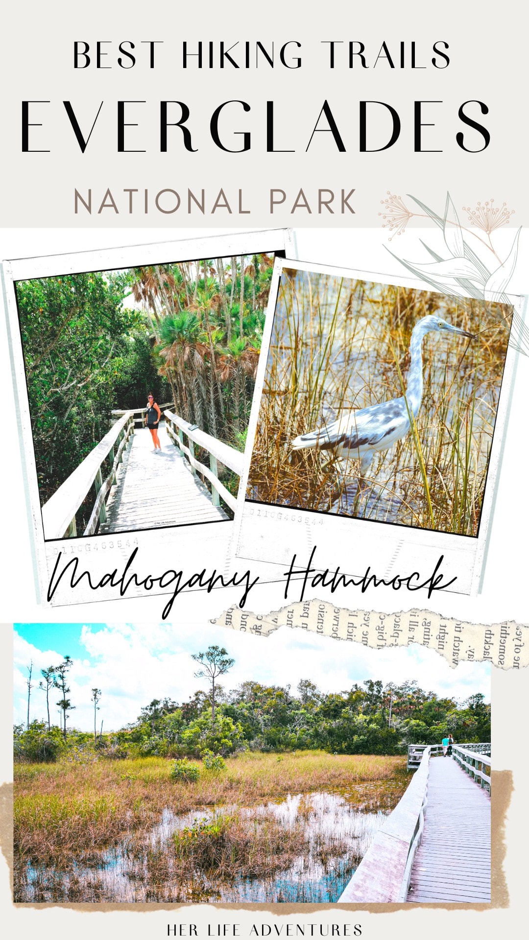 The Best Hikes in Everglades National Park