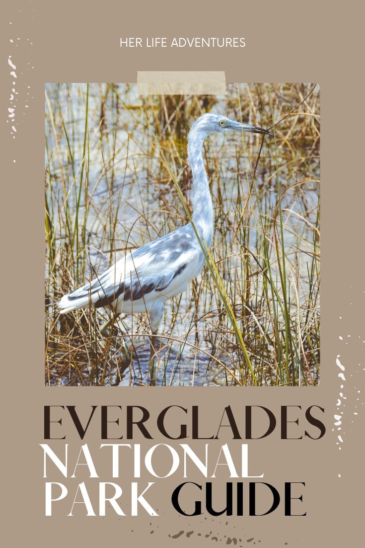 Everglades National Park Guide