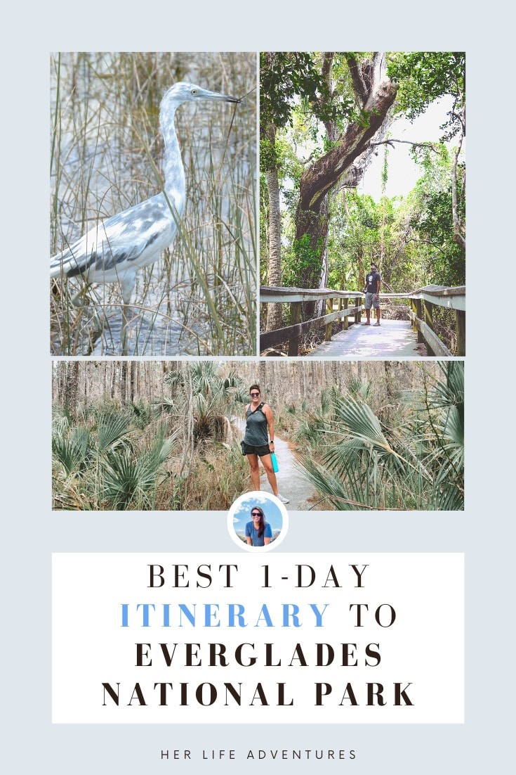 Everglades National Park Guide