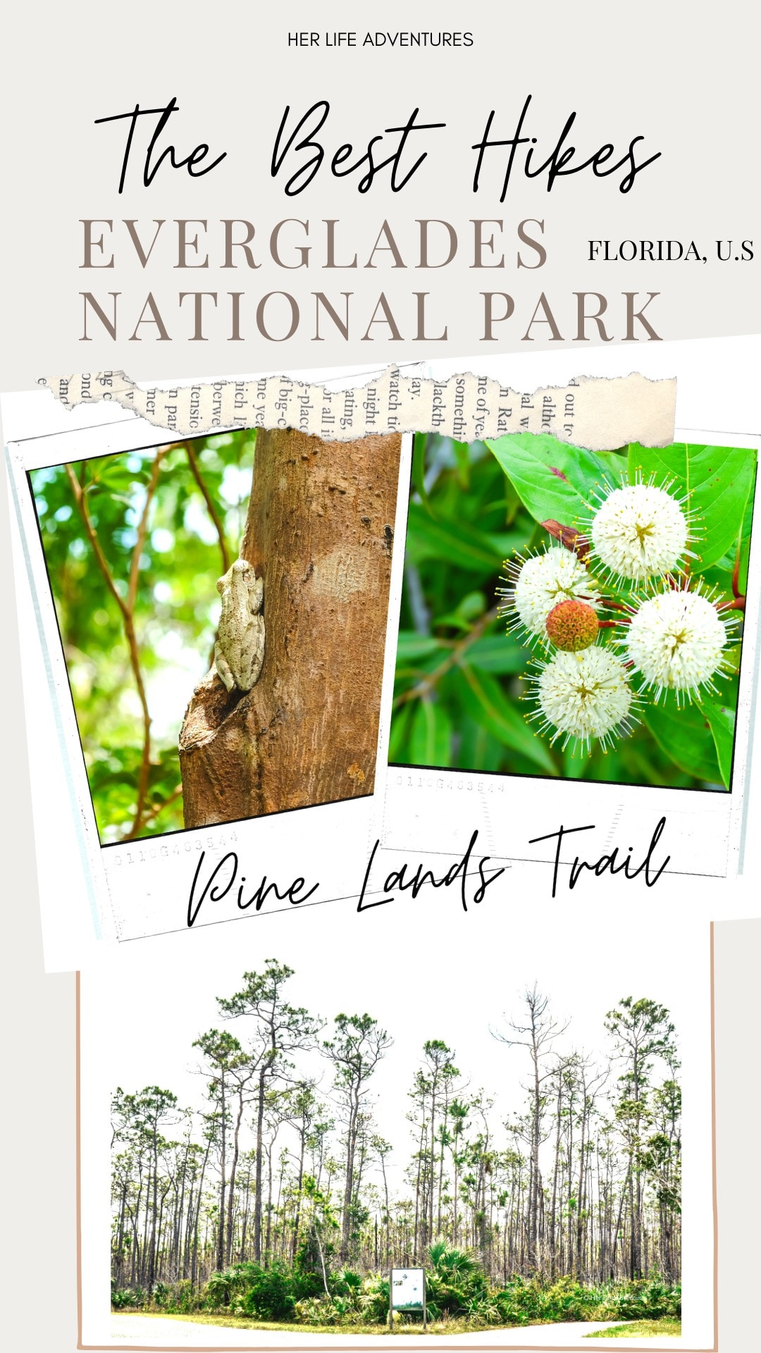 The Best Hikes in Everglades National Park