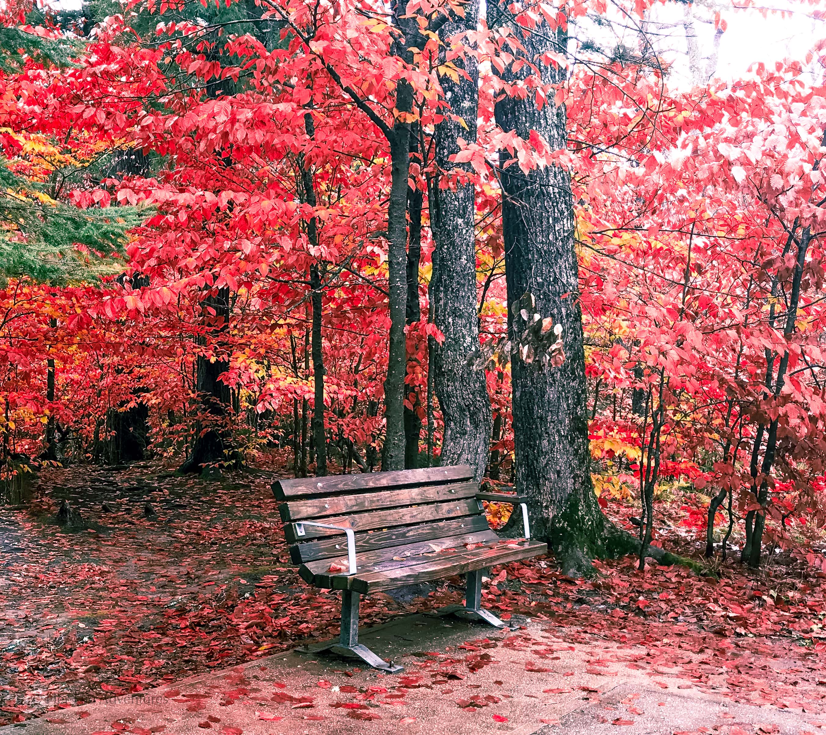 Hidden Gems: Lesser-Known Places to See Fall Colors in America – Her ...