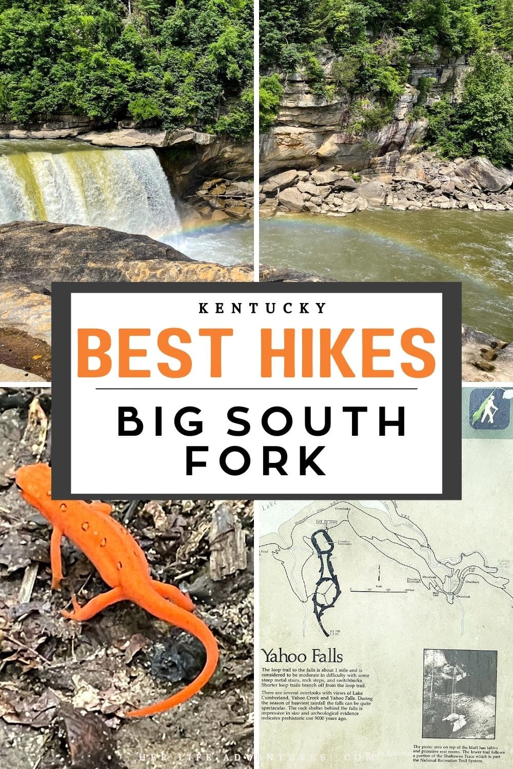 Best Hikes in Big South Fork Kentucky | Daniel Boone National Forest