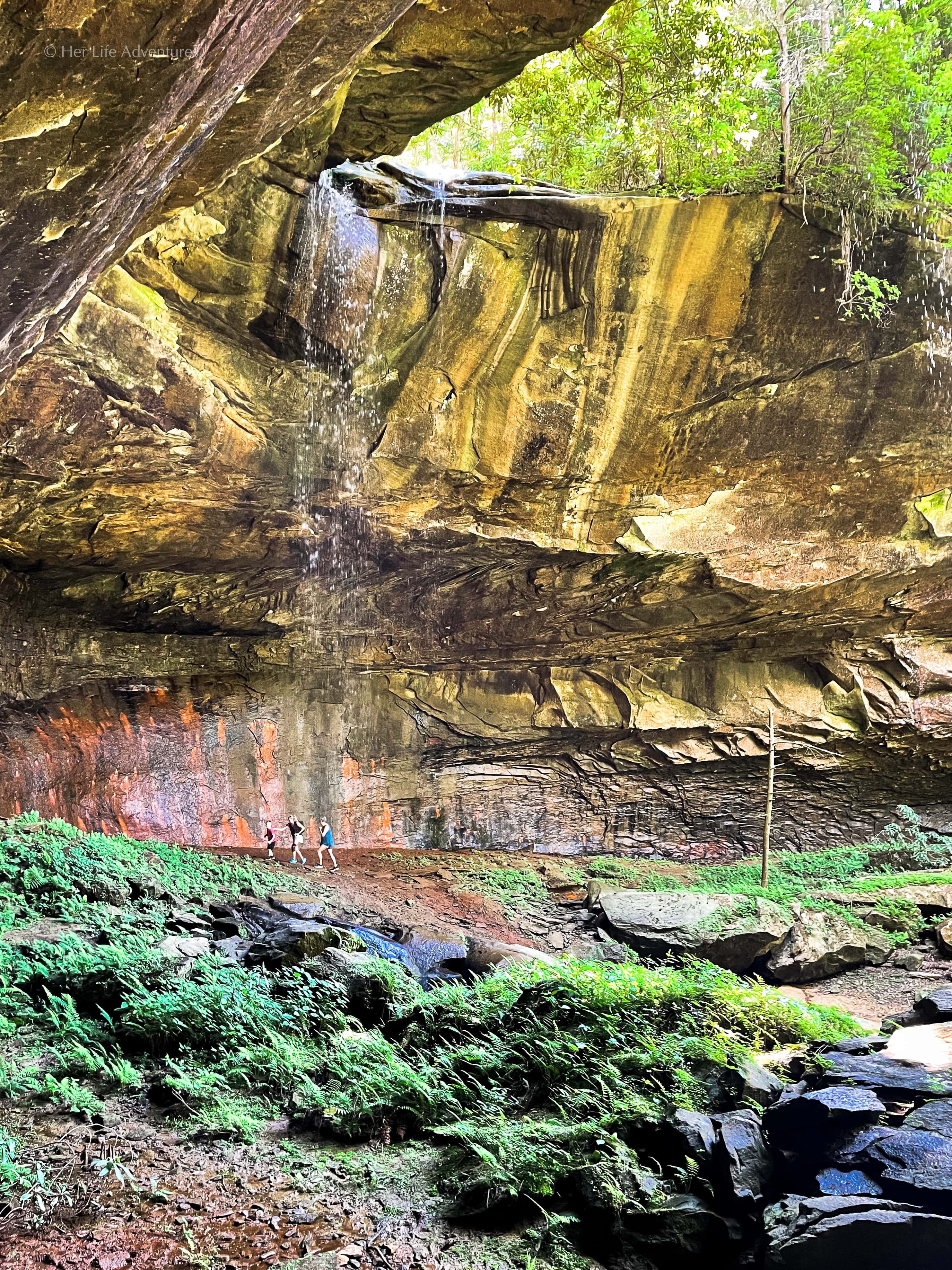 The best hiking trails in the Big South Fork Kentucky area are in the Daniel Boone National Forest. The area boasts miles of hiking trails along scenic gorges and sandstone bluffs leading to rock arches, waterfalls, caves, and adventure. Here are the best hikes for easy, moderate, and difficult trails in #Big South Fork #Kentucky