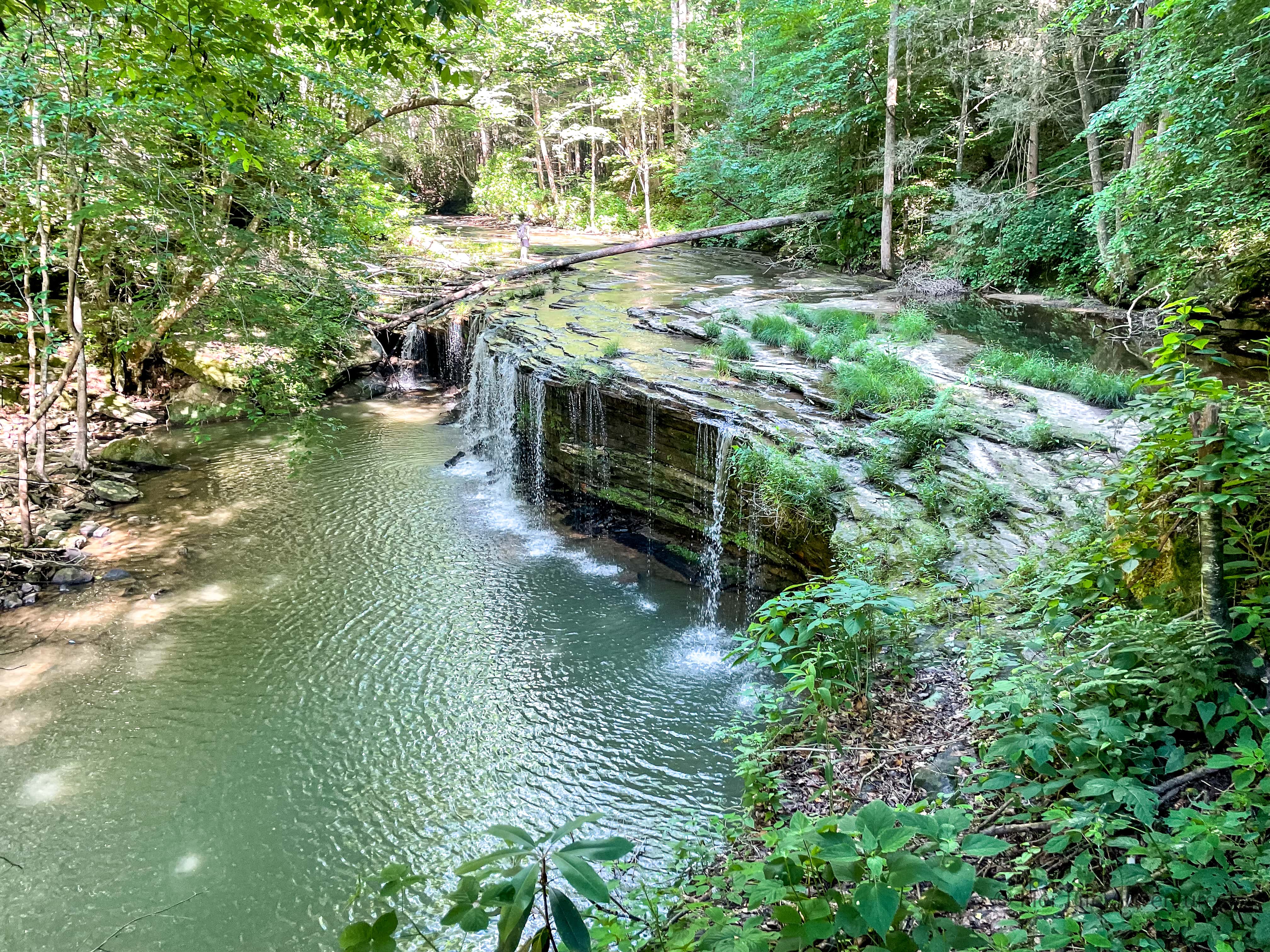 The best hiking trails in the Big South Fork Kentucky area are in the Daniel Boone National Forest. The area boasts miles of hiking trails along scenic gorges and sandstone bluffs leading to rock arches, waterfalls, caves, and adventure. Here are the best hikes for easy, moderate, and difficult trails in #Big South Fork #Kentucky