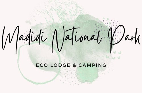 MADIDI NATIONAL PARK ECO LODGE BOLIVIA