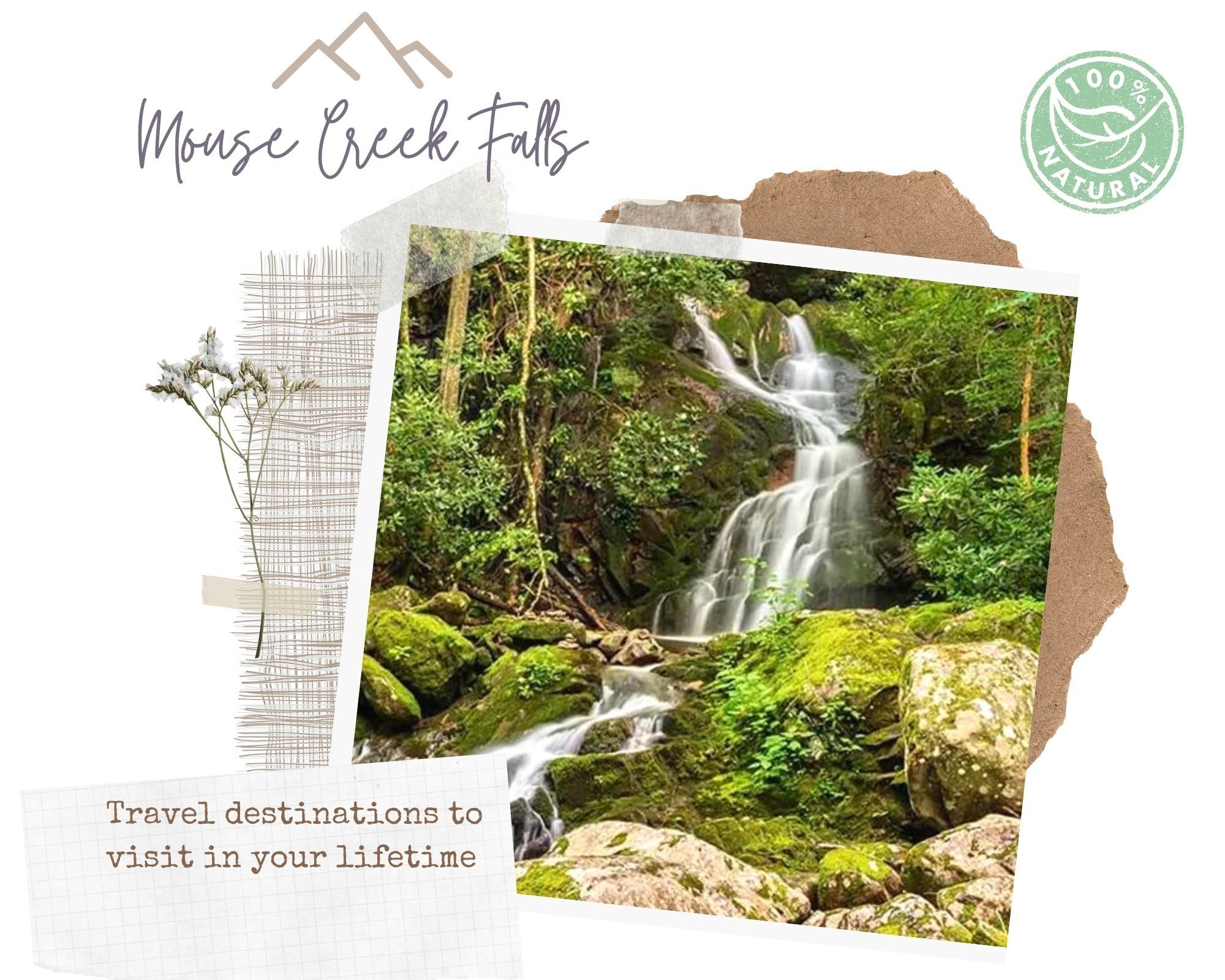 The best waterfall hikes in the Great Smoky Mountains National Park are focal points that draw visitors all year round to nature. Over 2,000,000 visitors a year hike along beautiful trails to the Rainbow, Laurel, Abrams, Grotto, and other popular falls.