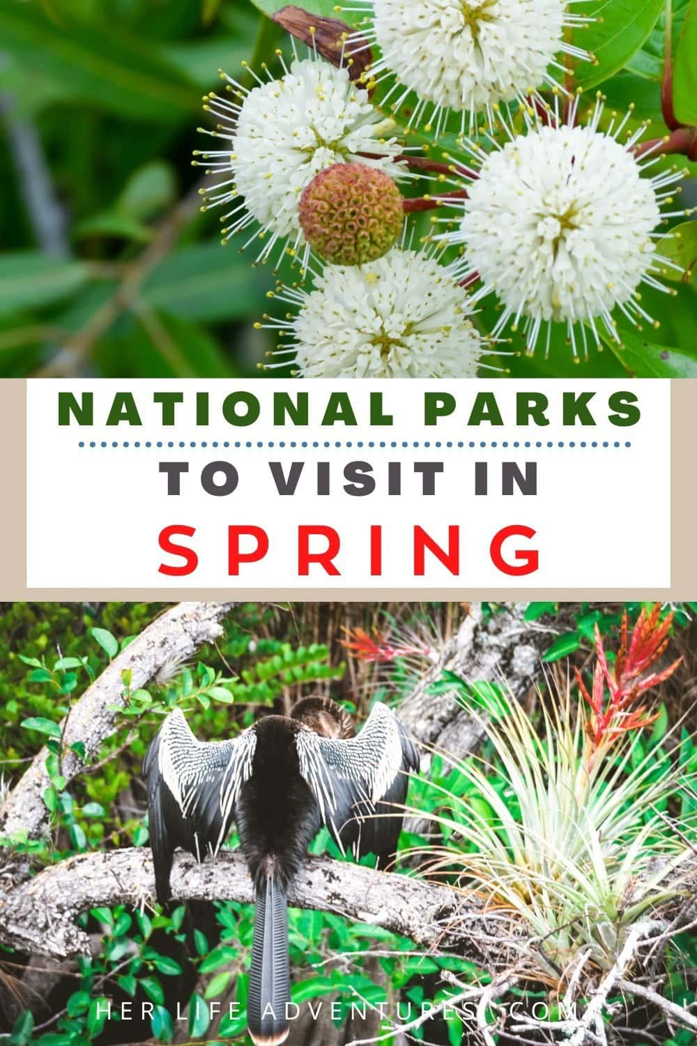 The Best National Parks for a Spring Adventure