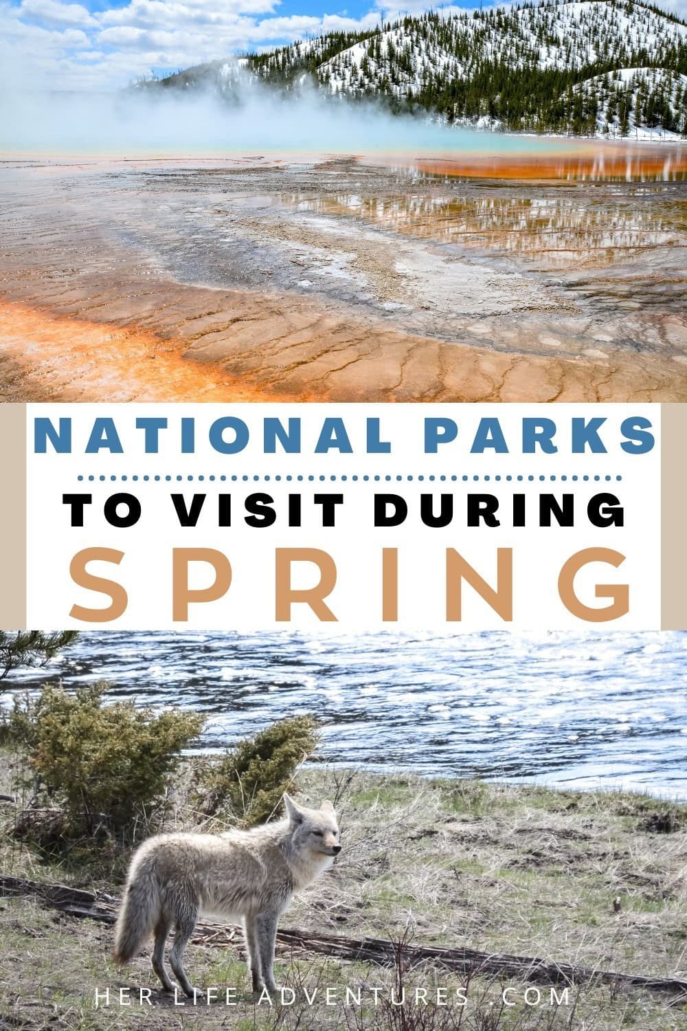 The Best National Parks for a Spring Adventure