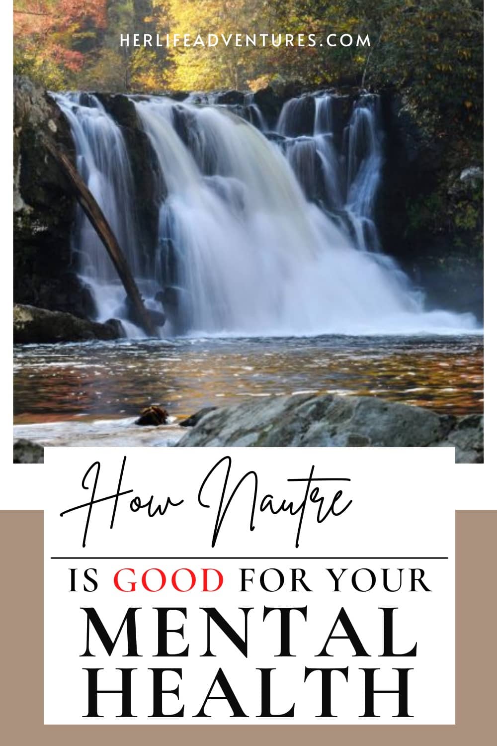 Exploring Nature: 5 Reasons Why It\'s Good For Your Mental Health