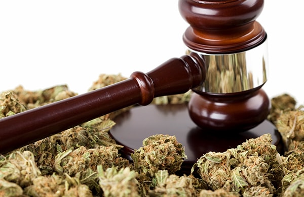 Cannabis Laws in Denver, Colorado