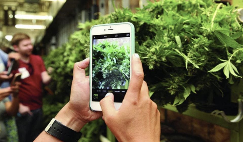 Weed-friendly Places to smoke cannabis in Denver