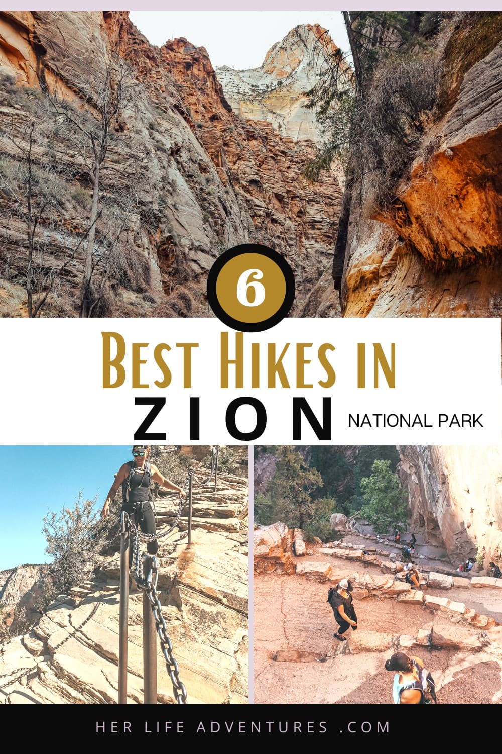 The Best Hikes in Zion National Park