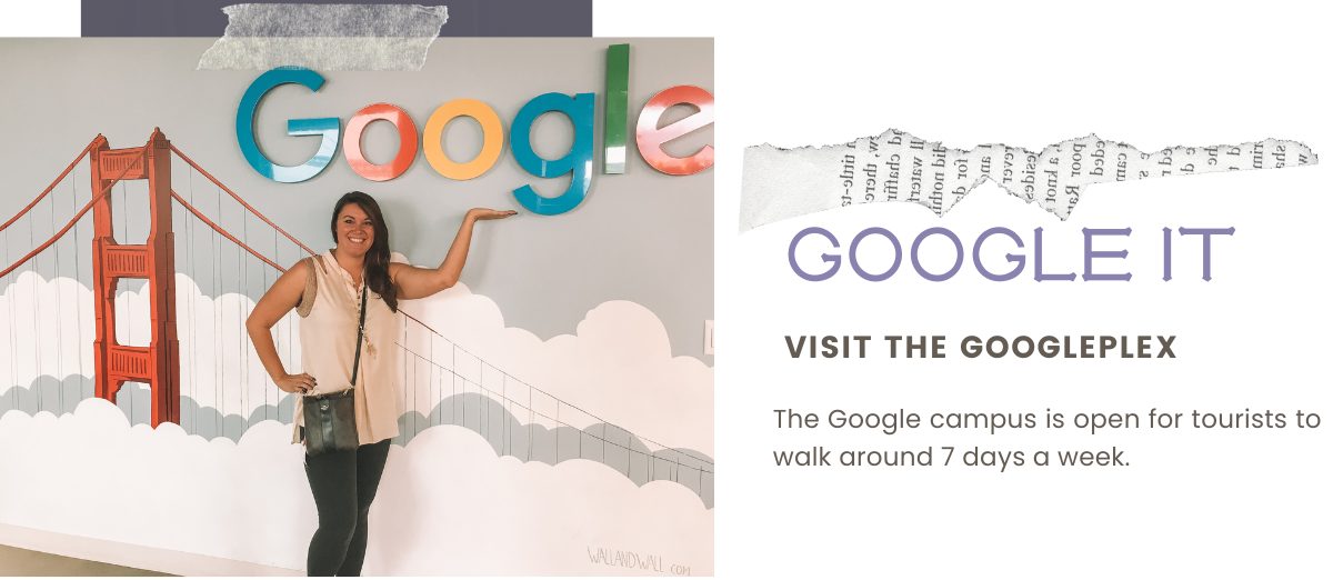 Garden of the Gods GOOGLEPLEX