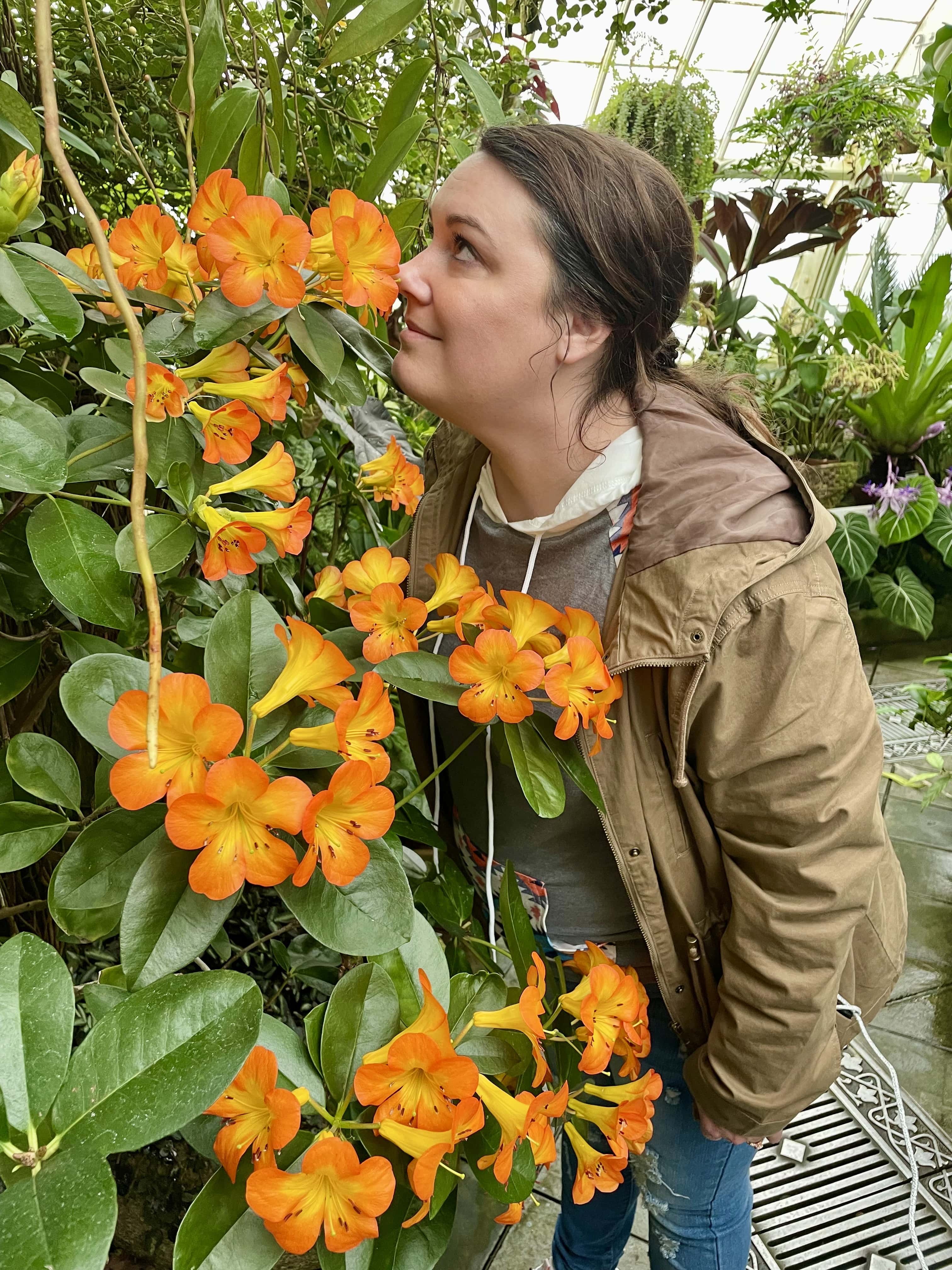 The Perfect Weekend in Colorado Springs Pike Peak GOLDEN GATE PARK CONSERVATORY