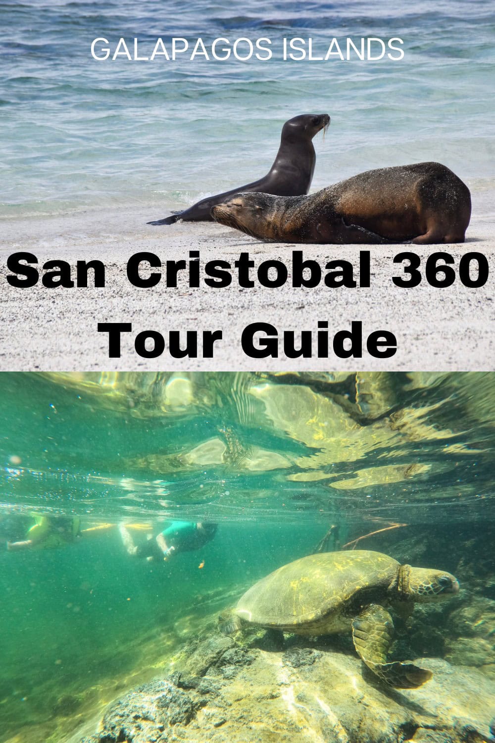 Is the San Cristobal 360 tour in the Galapagos worth it?
