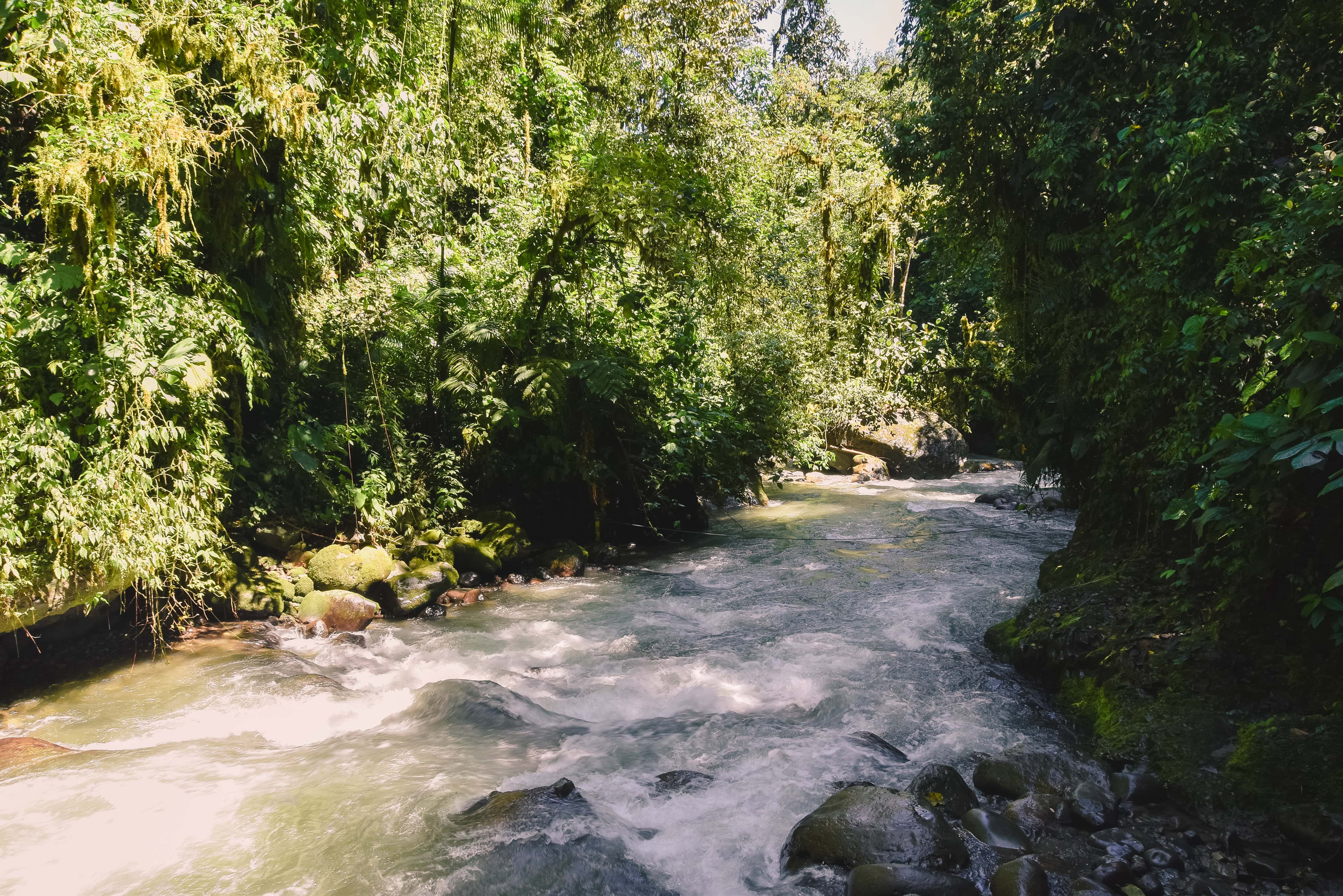 WHITE WATER RAFTING IN MINDO ECUADOR
