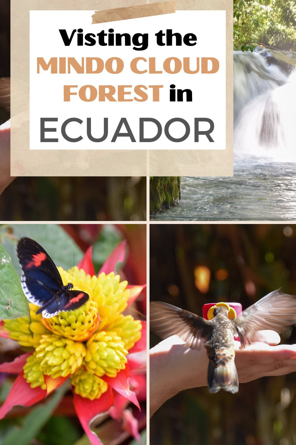 What to do in Mindo Cloud Forest Ecuador