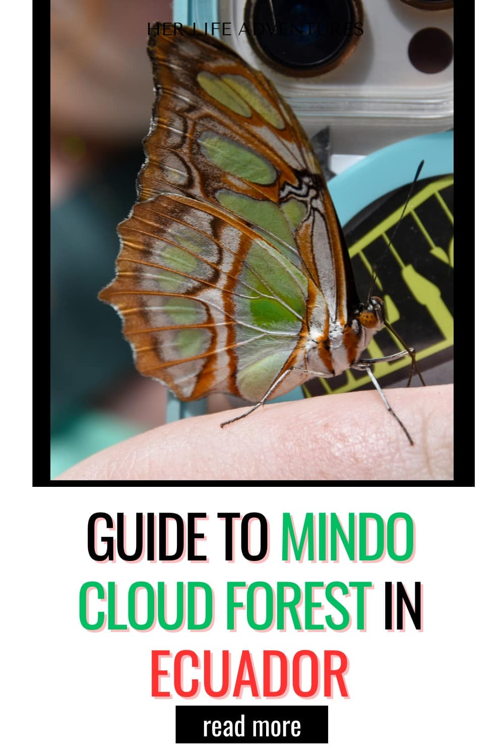What to do in Mindo Cloud Forest Ecuador