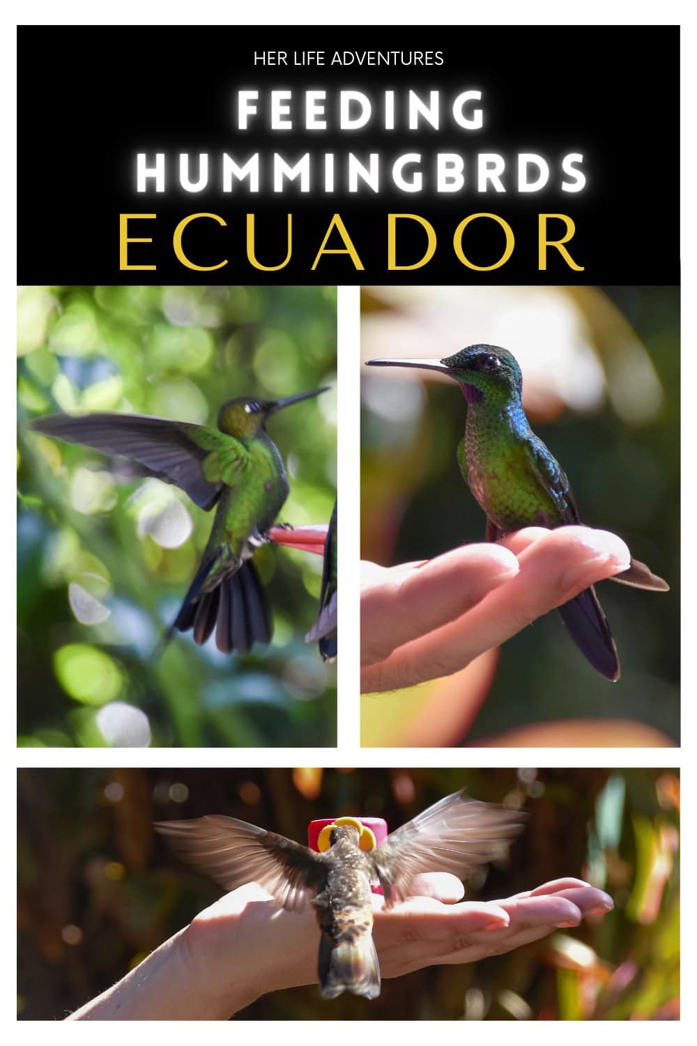 What to do in Mindo Cloud Forest Ecuador