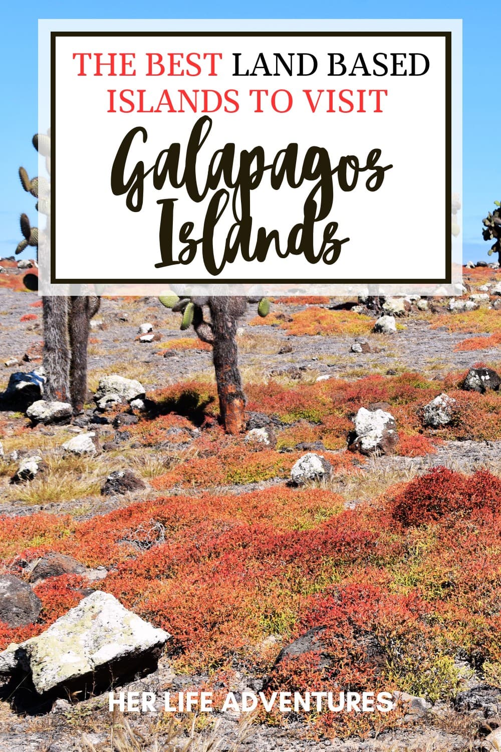 The Best Galápagos Islands to Visit on a Land-Based Vacation