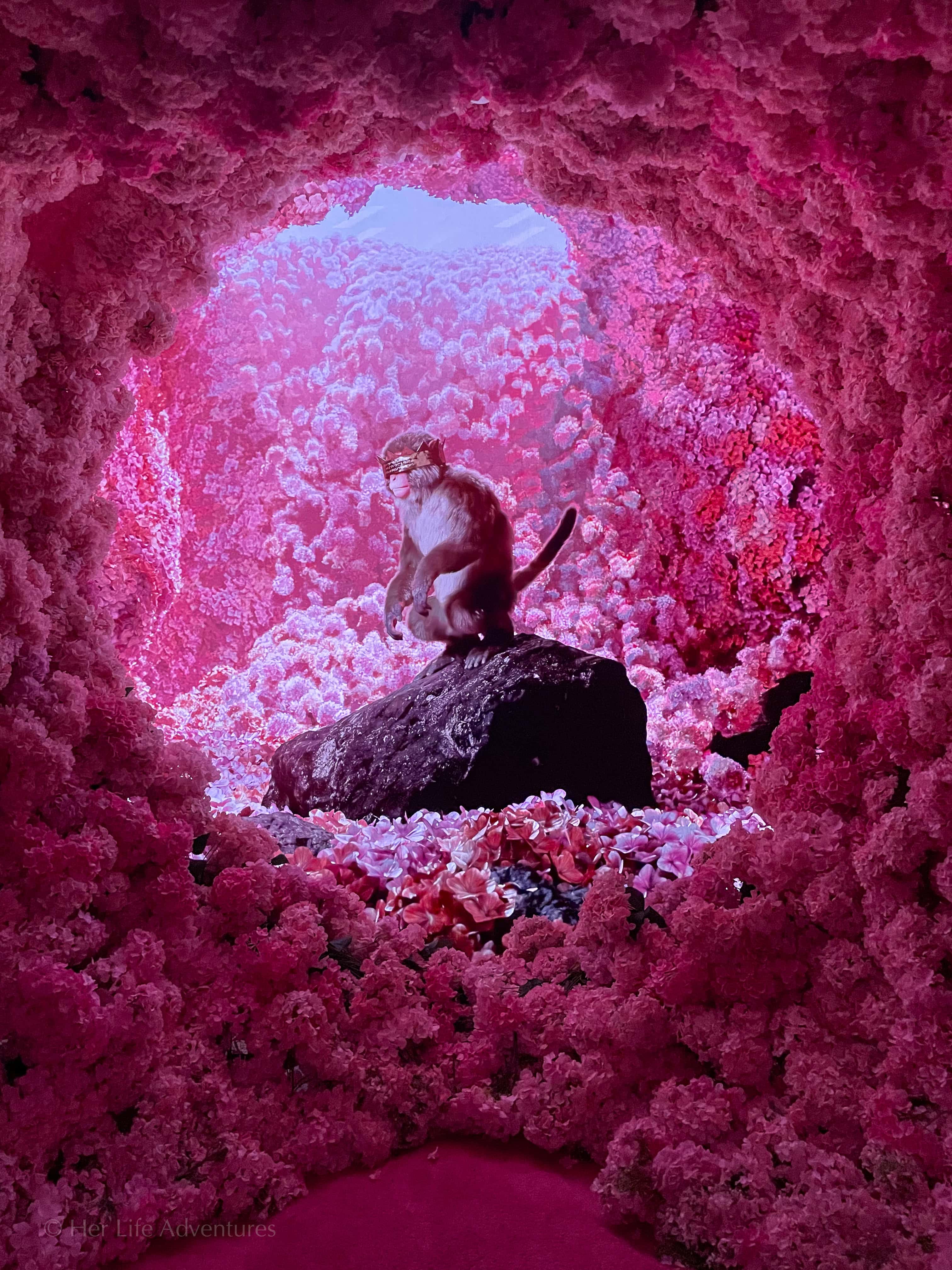 Best Immersive Art Experiences in NYC You MUST See – Her Life Adventures