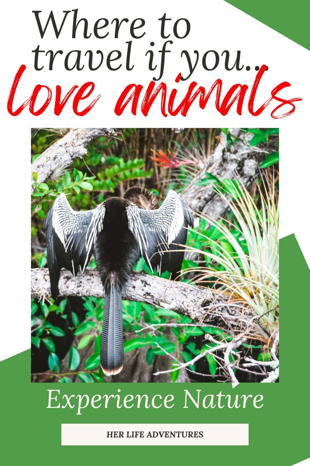 Amazing Places To Visit if You Love Learning About Animals