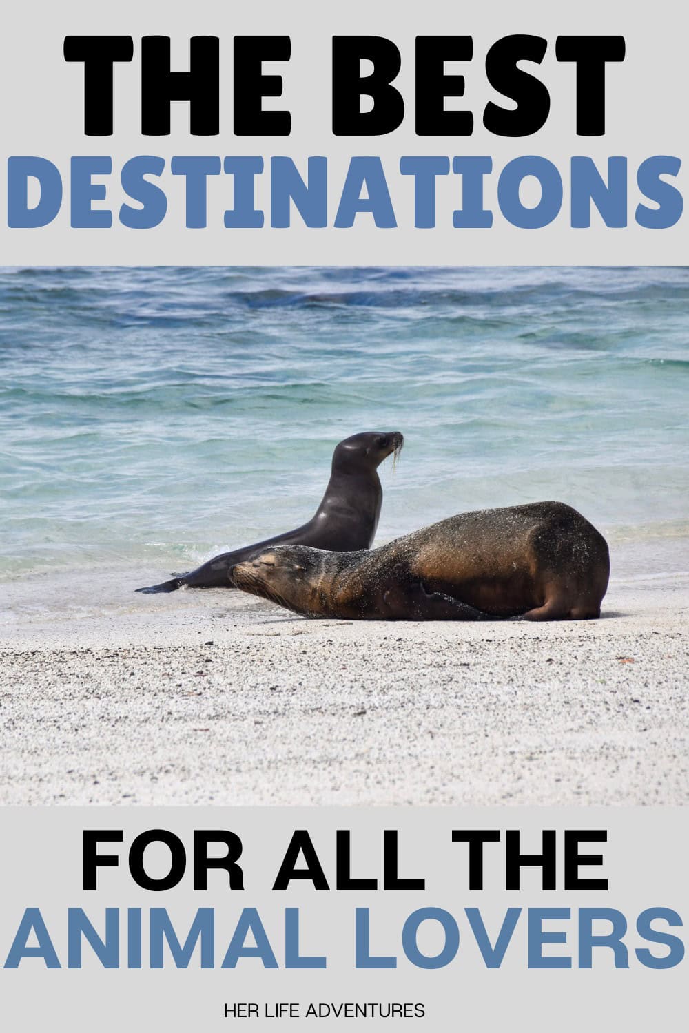 Amazing Places To Visit if You Love Learning About Animals