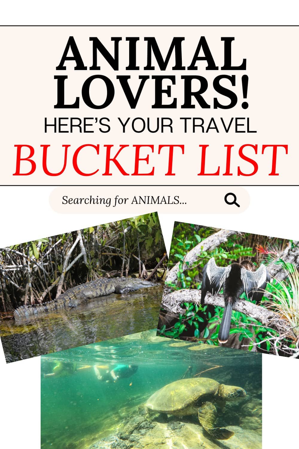 Amazing Places To Visit if You Love Learning About Animals