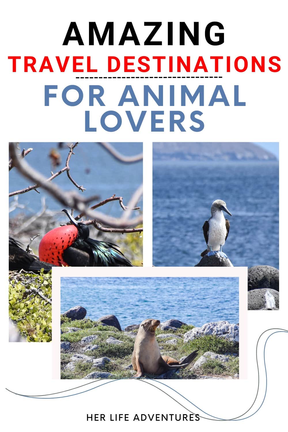 Amazing Places To Visit if You Love Learning About Animals