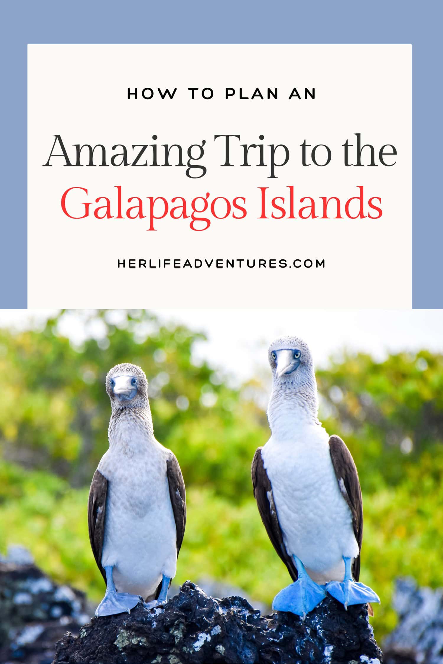 Galapagos Islands: 10-Day Land Itinerary You Must Experience