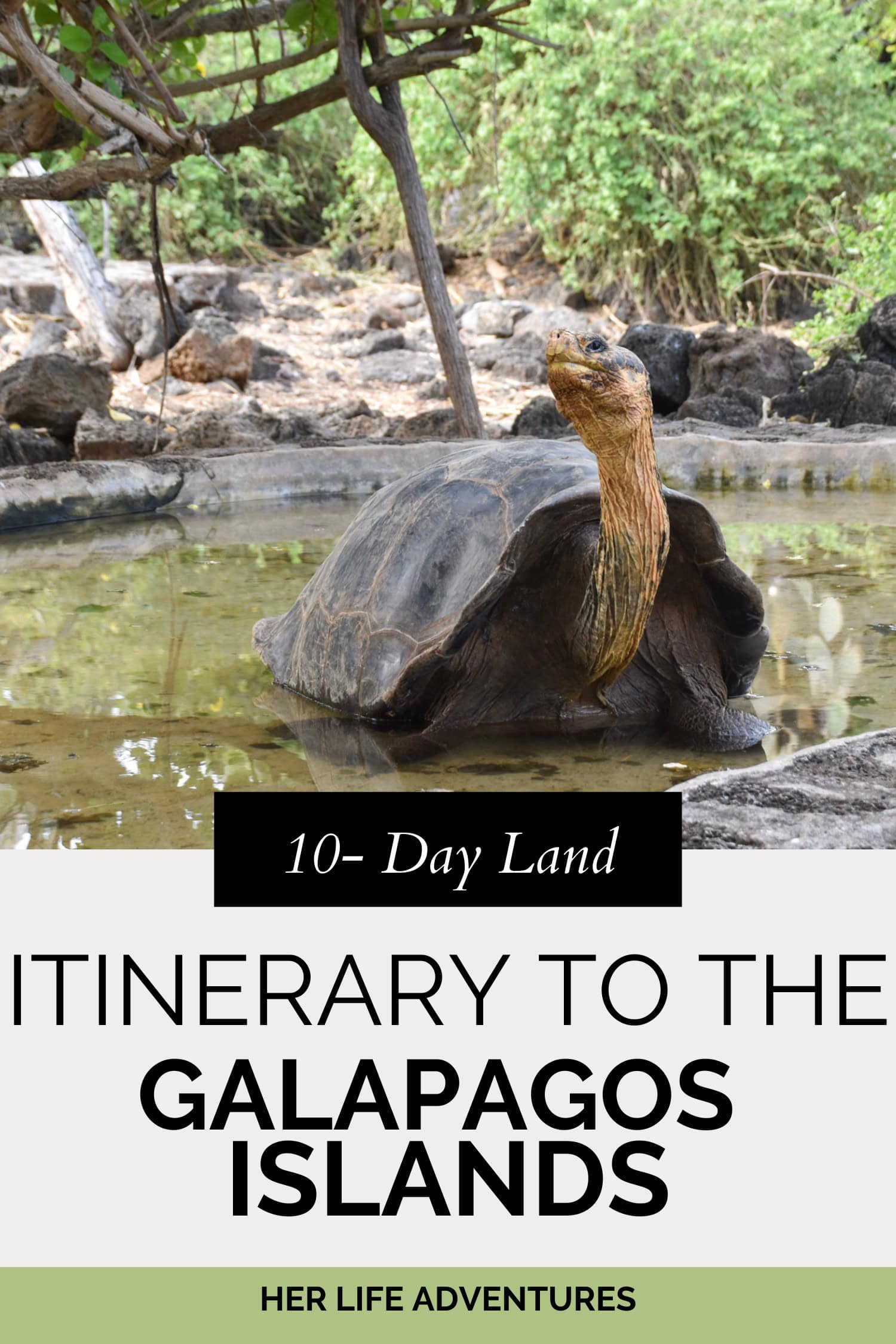 Galapagos Islands: 10-Day Land Itinerary You Must Experience