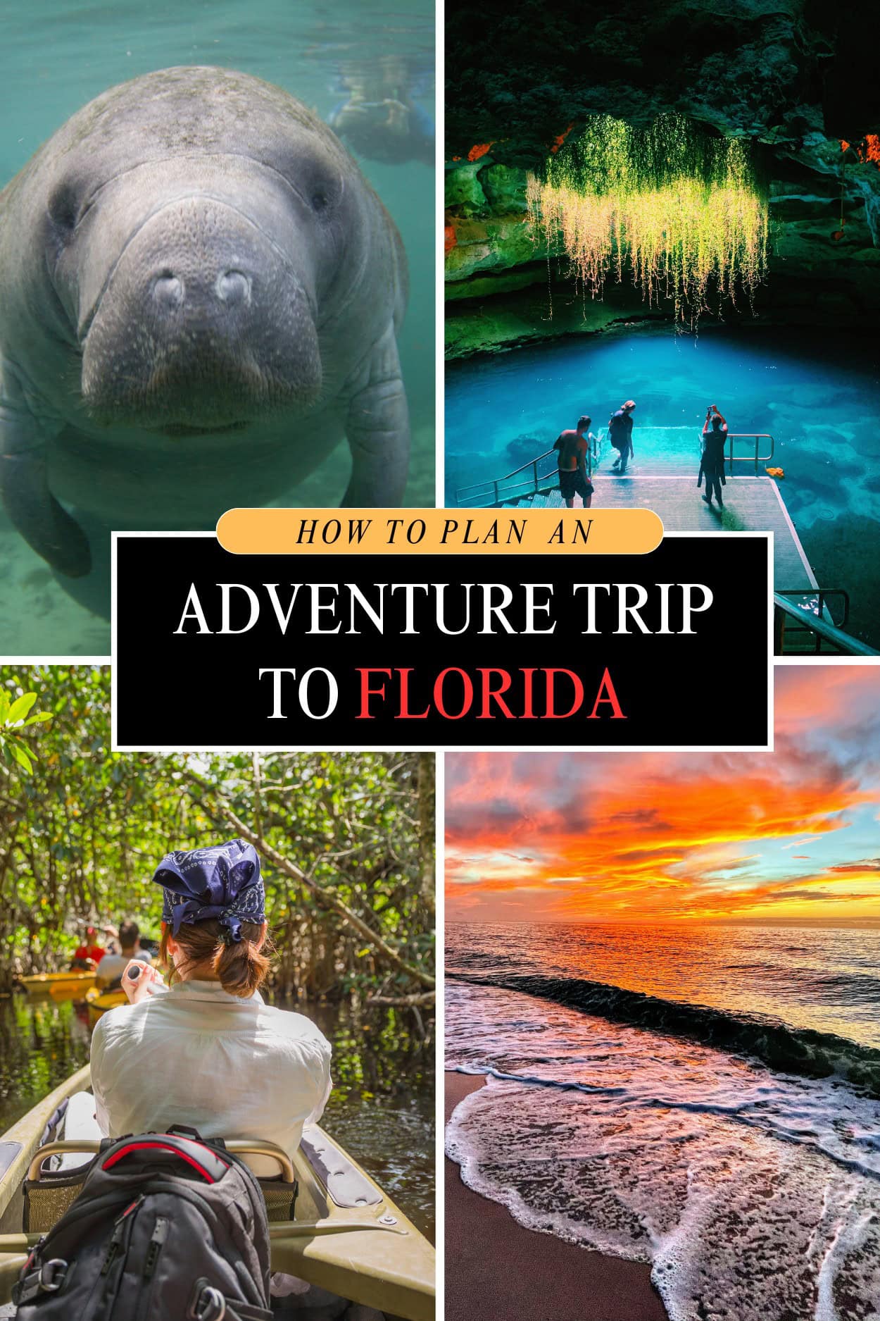 How to Plan a Thrilling Adventure Trip in Florida