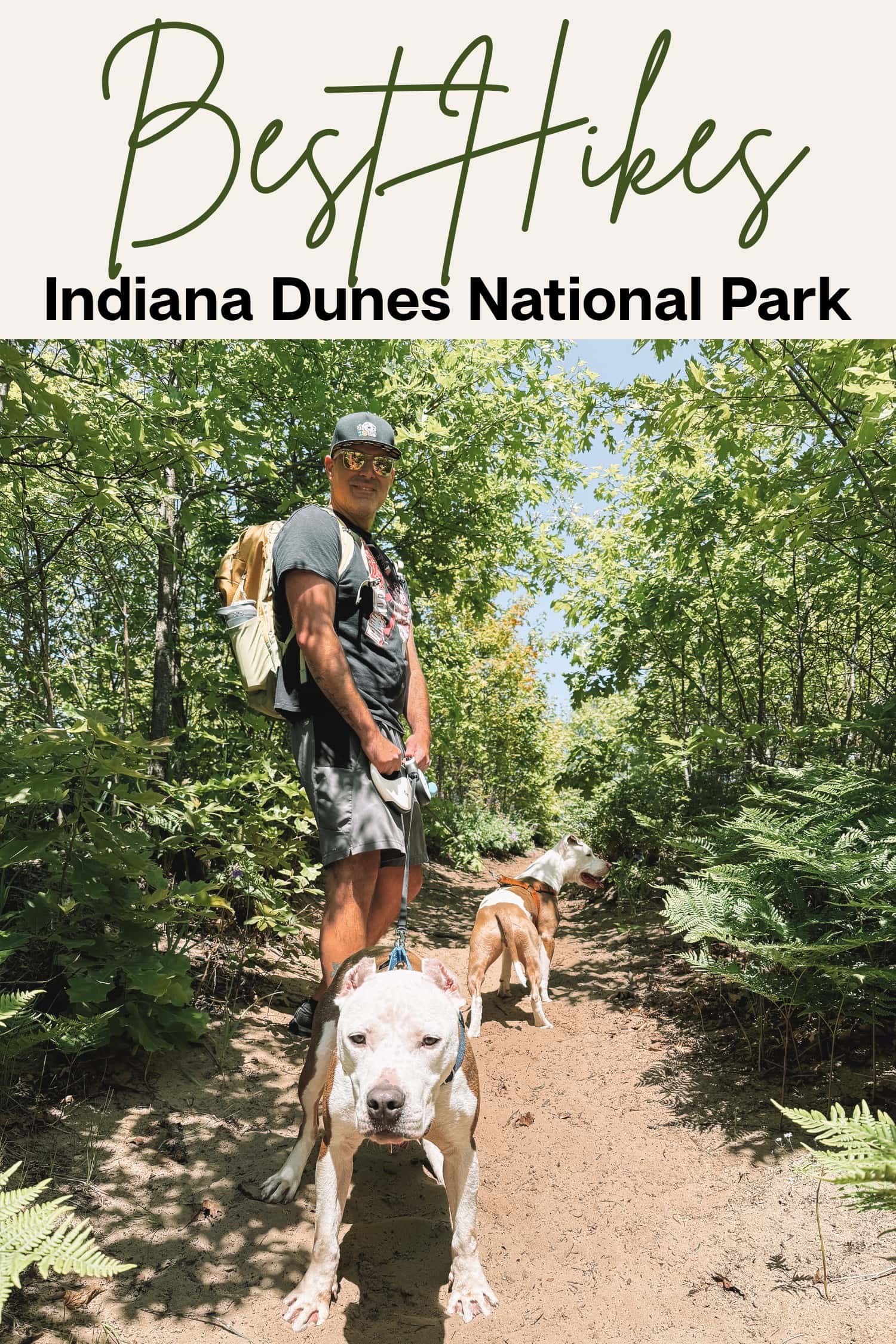 A Weekend in Indiana Dunes National Park