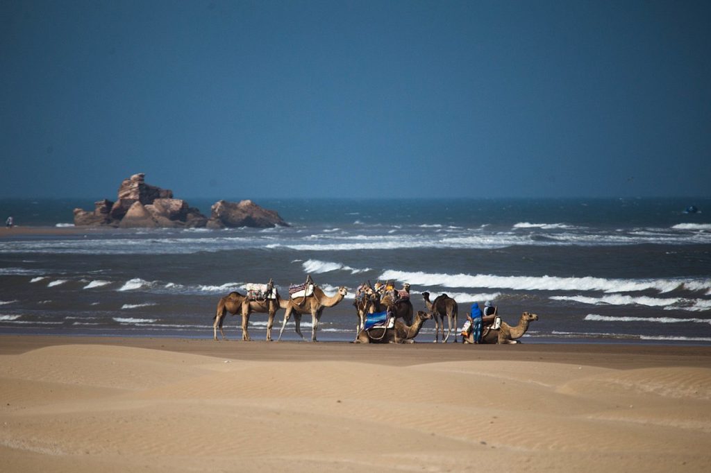 When the ships meet - Essaouira Morocco by Brahim FARAJI