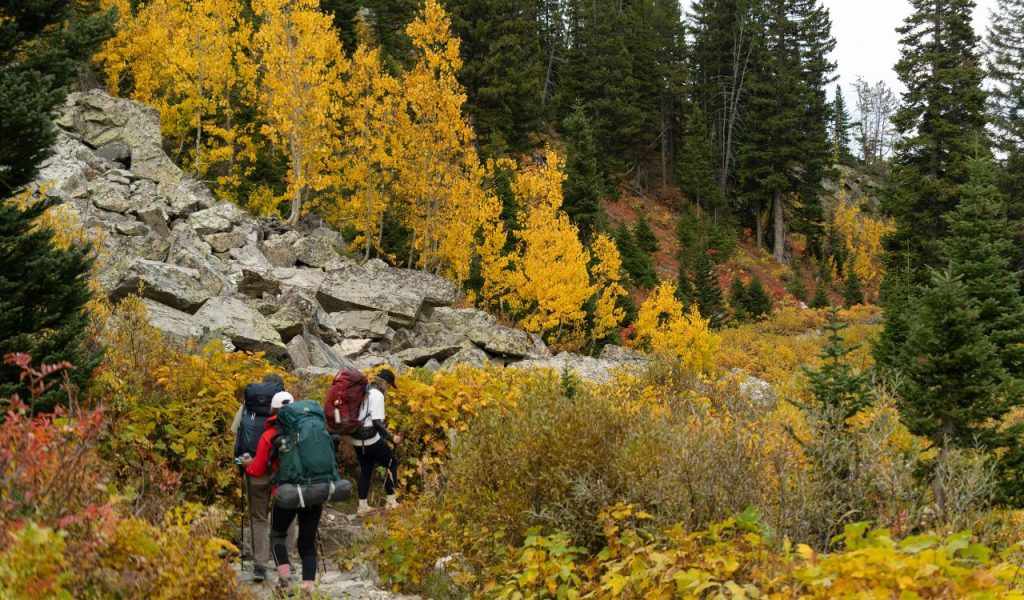 Scenic Fall Hike in Grand Teton National Park