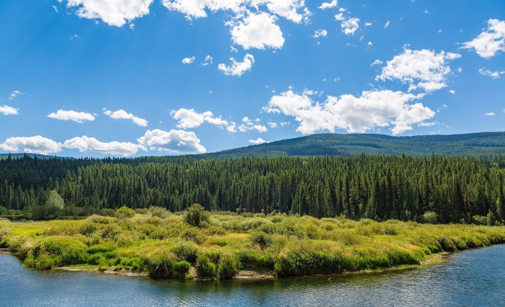 Kootenai National Forest, Montana