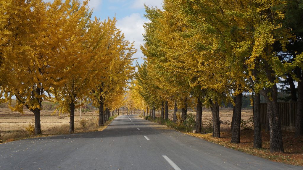 Autumnal landscape in Kaesong, North Korea.