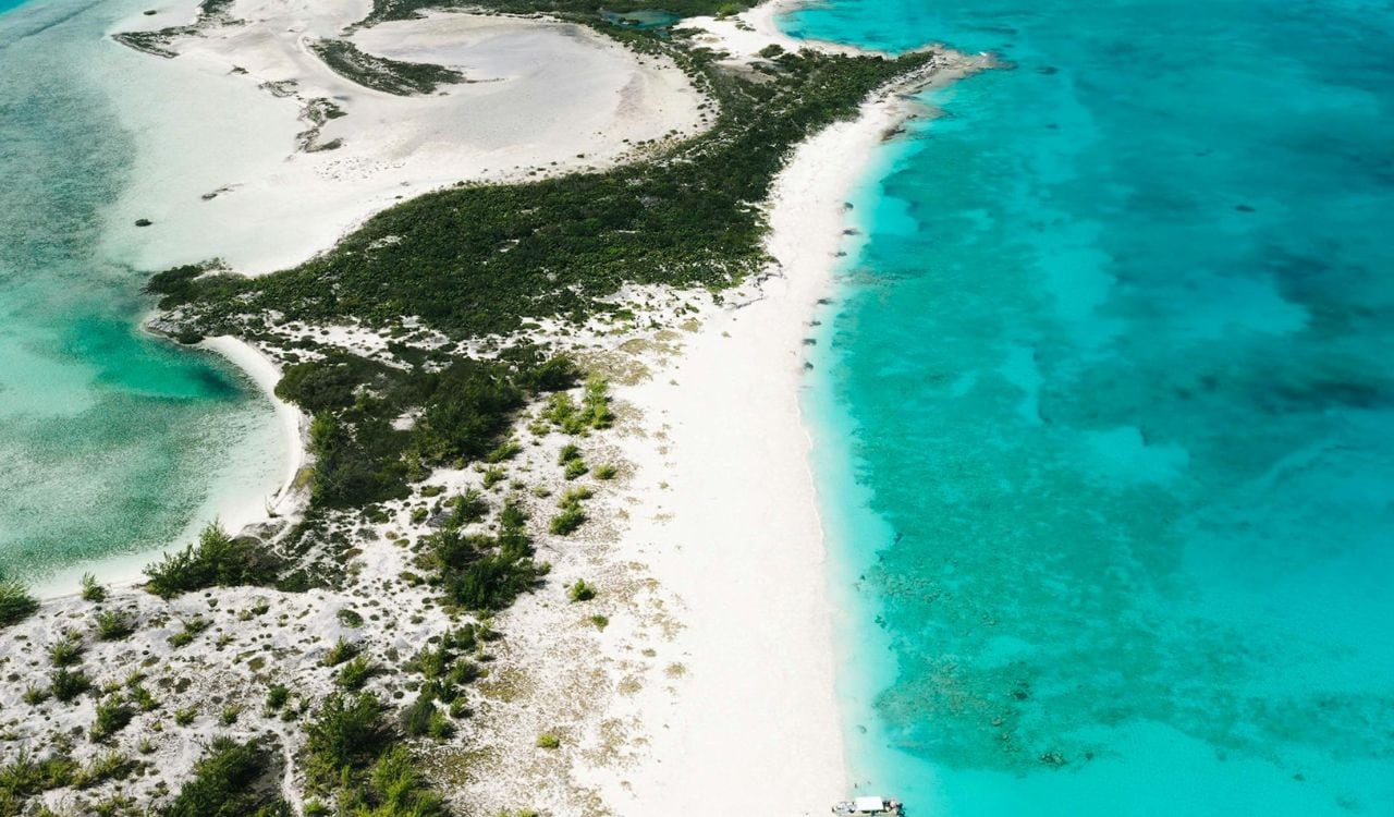 Aerial Photography of a Beach