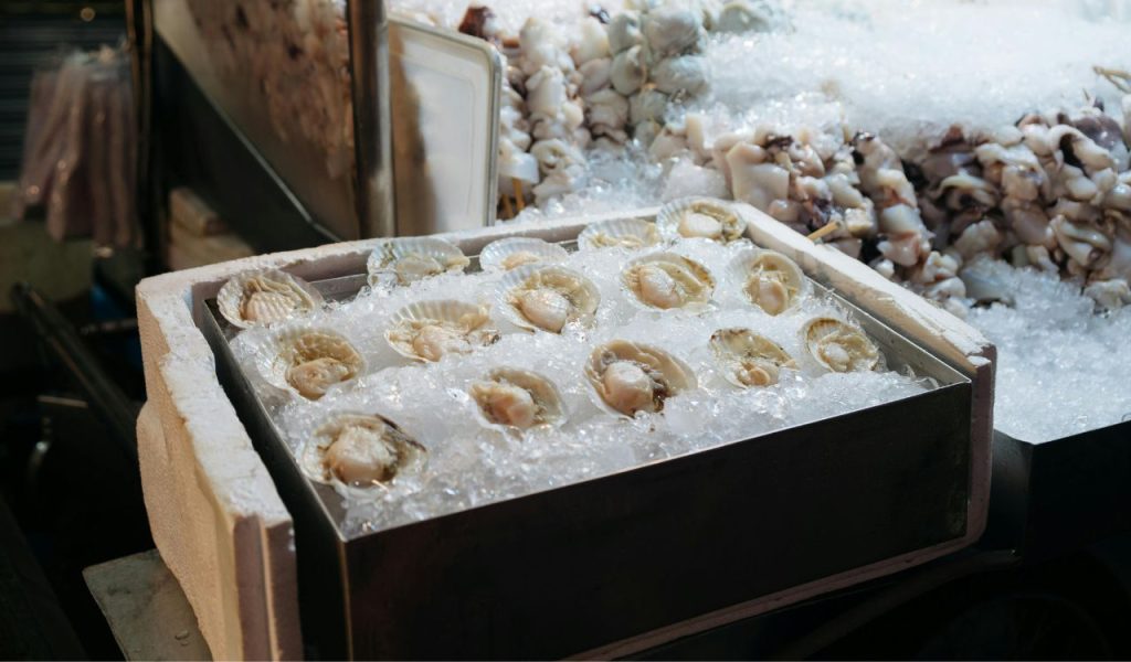 A tray of oysters on ice in a market 