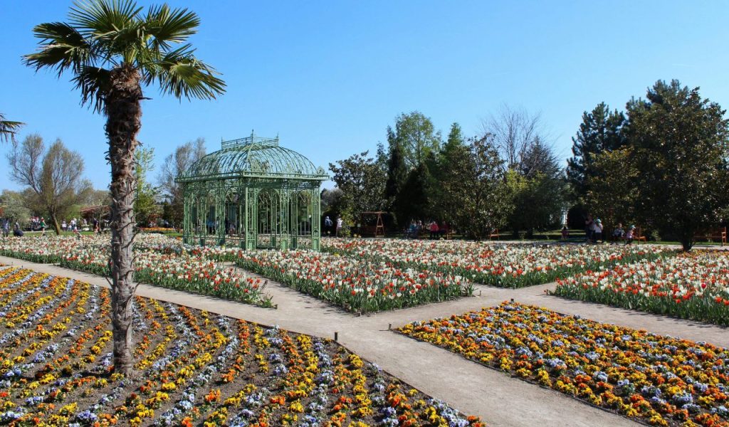 Vibrant Spring Gardens in Vienna, Austria
