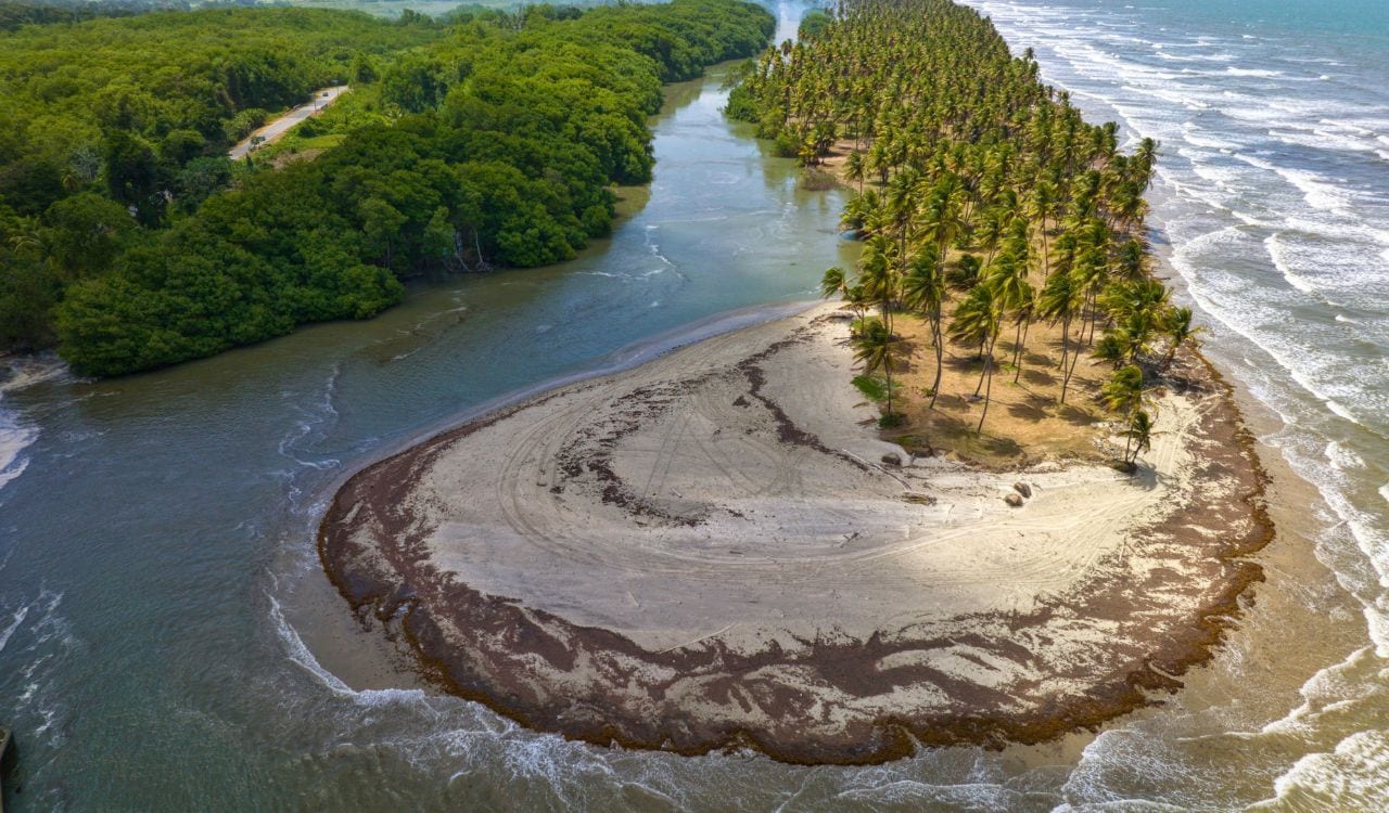Sea Meander behind Foreland with Forest