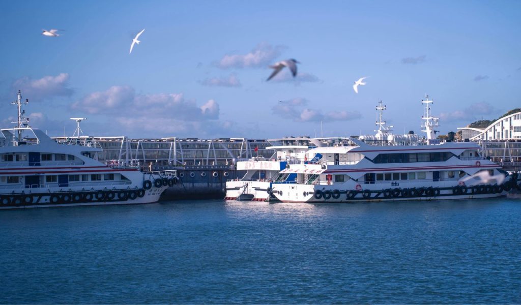 Scenic Harbor View with Docked Ferries and Seagulls 